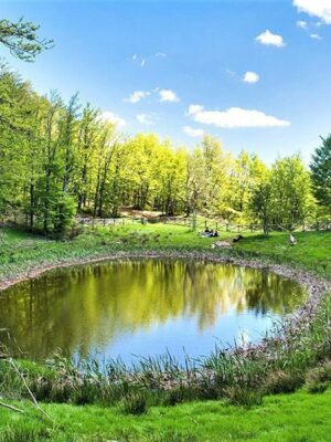 parco nazionale lago degli idoli