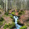 parco nazionale fiumiciattolo