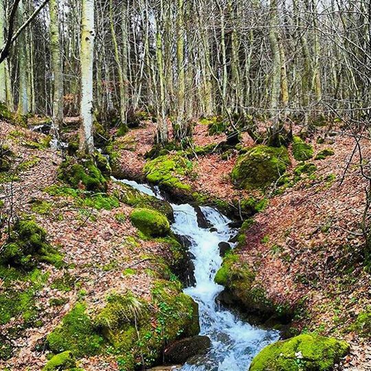 parco nazionale fiumiciattolo