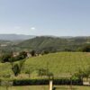 Vigna agriturismo Poppiena