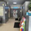 happy dog interno